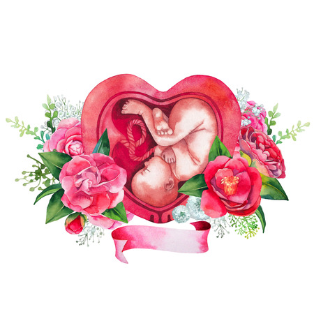 Watercolor fetus inside the heart shaped womb isolated on white background. Floral designのイラスト素材