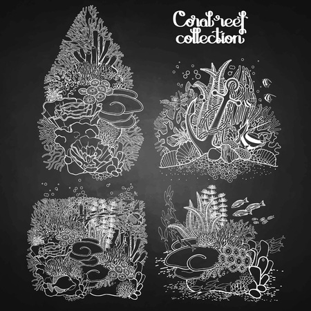 Coral reef design collection in line art style.  Sea and ocean plants and rocks isolated on chalkboardのイラスト素材