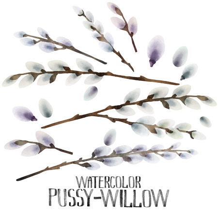 Watercolor pussy-willow set. Spring branches. Easter decorations. Vector design elements isolated on white backgroundのイラスト素材
