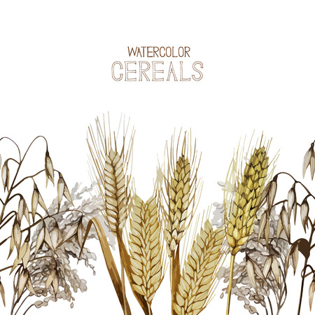 Collection of watercolor cereals. Vector endless designのイラスト素材