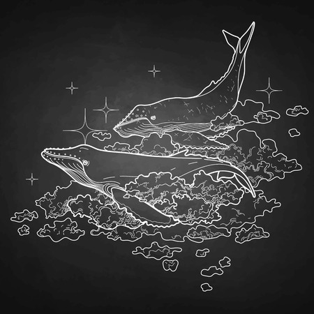 Graphic whales flying in the sky. Sea and ocean creatures isolated on chalkboard. Vector fantasy art in black and white colorsのイラスト素材