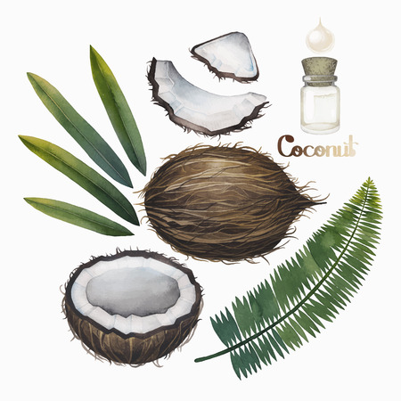 Watercolor coconut collection. Hand painted leaves, nut and oil bottle isolaqted on white background. Natural designのイラスト素材