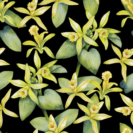 Watercolor vanilla flowers. Hand painted floral seamless patternの写真素材