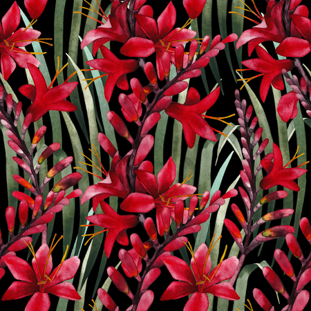 Watercolor crocosmia patternの写真素材