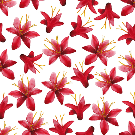 Watercolor crocosmia patternの写真素材