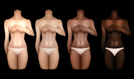 Women bodies templatesのイラスト素材