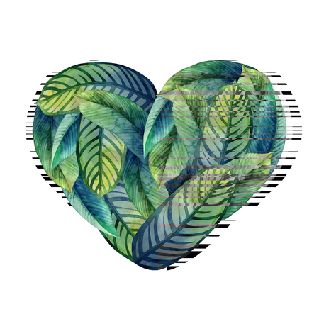 Watercolor heliconia leavesの写真素材