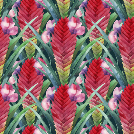 Watercolor tillandsia cyanea patternの写真素材