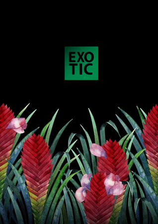 Watercolor tillandsia cyanea cardの写真素材