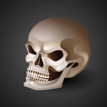Graphic skull with fearful smile. Vector tattoo art isolated on dark backgroundのイラスト素材