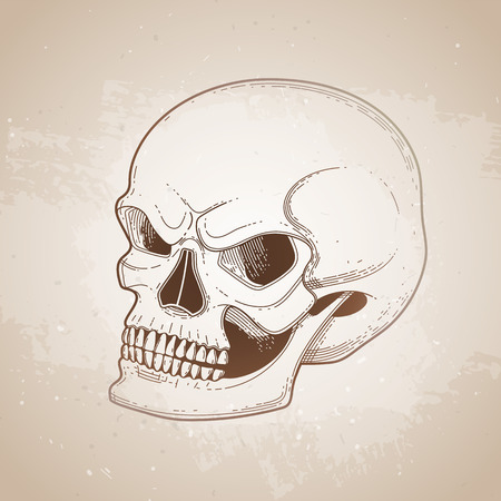 Graphic skull with fearful smile. Vector tattoo art isolated on vintage backgroundのイラスト素材