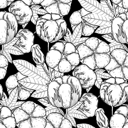 Graphic cotton patternのイラスト素材