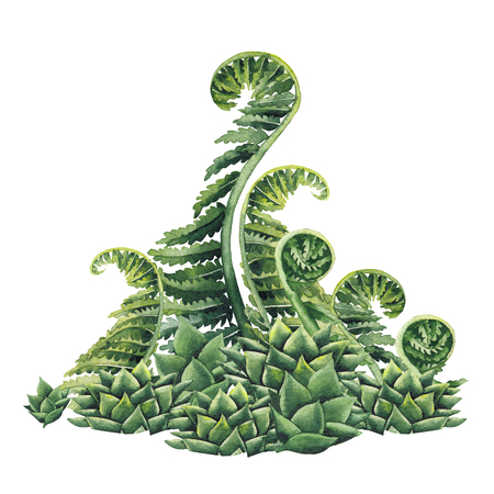 Watercolor prehistoric plantsの写真素材