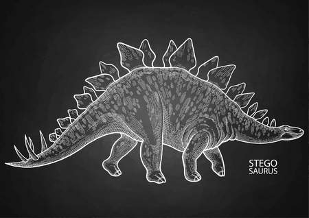 Graphic stegosaurus. Vector dinosaur isolated on the chalkboard.のイラスト素材