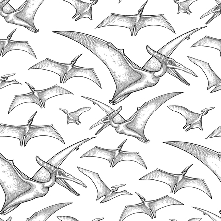 Graphic seamless pattern of flying pterodactyls. Vector dinosaurs isolated on white background.のイラスト素材