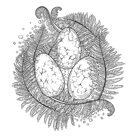 Three graphic dinosaur eggs in the nest made of dirt and fern. Vector illustration drawn in engraving technique. Coloring book page design.のイラスト素材