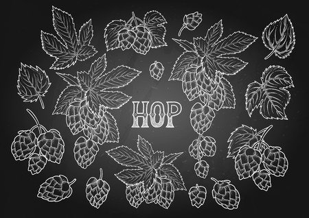 Graphic hops collection in black and whiteのイラスト素材