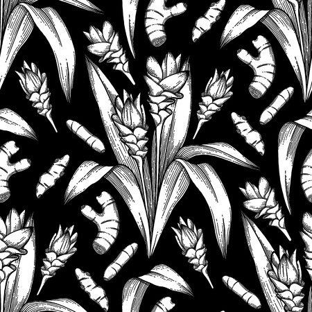 Graphic curcuma seamless pattern. Vector natural spices. Coloring book page for adults and kids.のイラスト素材