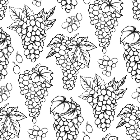 Graphic seamless pattern of vector grapes bunchesのイラスト素材