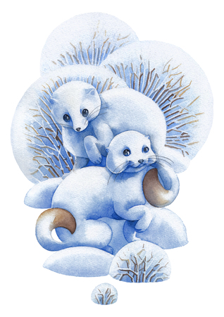 Two cute watercolor stoats surrounded by bushes and snow driftsの写真素材