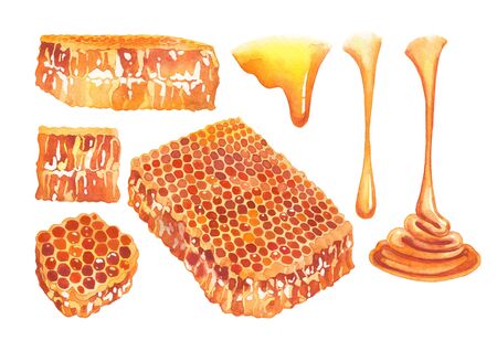 Watercolor isolated set of flowing honey and honeycombsの写真素材