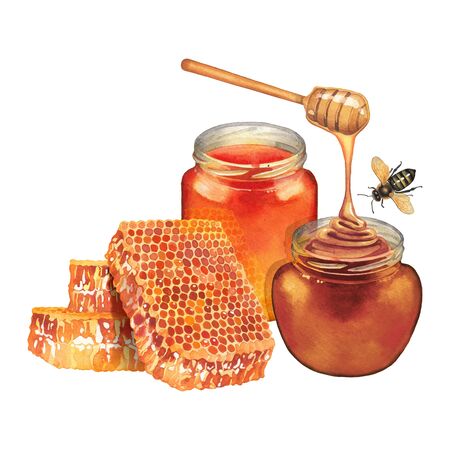 Watercolor honey bottles , decorated with honeycombs, dipper and beesの写真素材