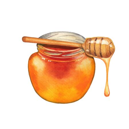 Watercolor bottles of honey the dippers isolated on white backgroundの写真素材