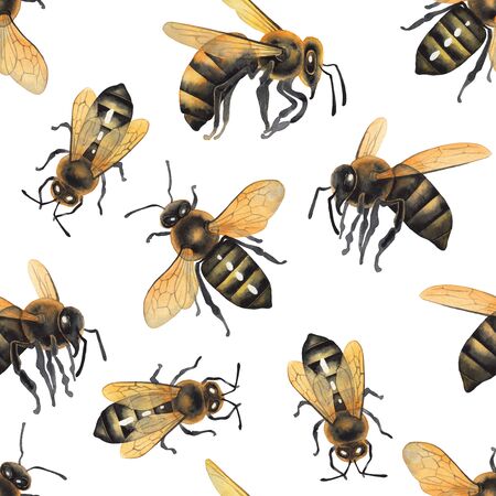 Watercolor seamless pattern of realistic drawn honey beesの写真素材