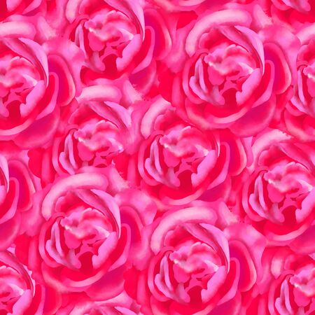 Seamless pattern of digital watercolor roses painted in vibrant pink colorsの写真素材