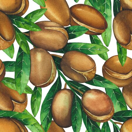 Seamless pattern of watercolor argan plants. Hand painted designの写真素材