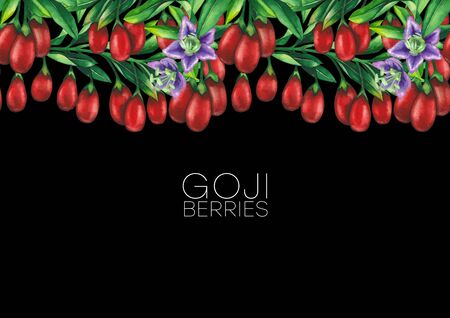 Watercolor goji branches. Hand painted repeated borderの写真素材