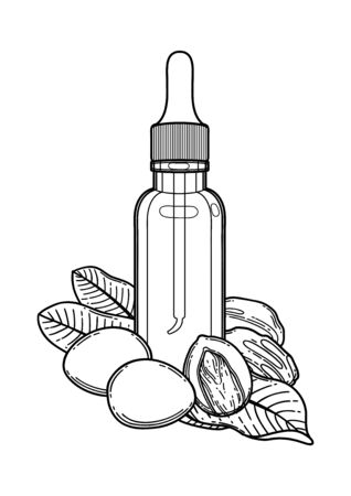 Graphic oil bottles surrounded by shea plants. Vector botanical design isolated on white backgroundのイラスト素材