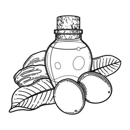 Graphic oil bottles surrounded by shea plants. Vector botanical design isolated on white backgroundのイラスト素材