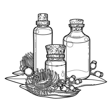 Graphic essential oil bottles decorated with eucalyptus leaves and flowersのイラスト素材