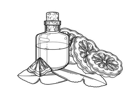 Graphic oil bottle surrounded by bergamot fruits and leavesのイラスト素材