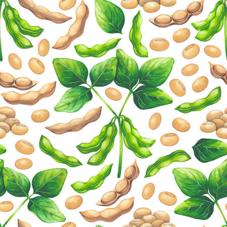 Watetcrolor seamless pattern of soy beans and leaves.の写真素材