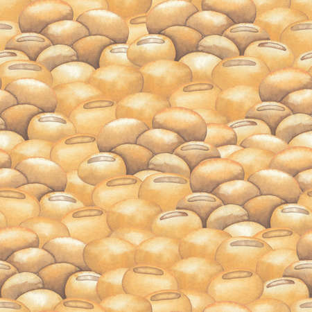 Watetcrolor repeated seamless pattern of soy beansの写真素材
