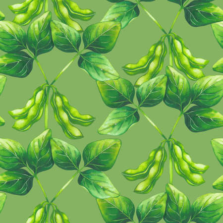 Watetcrolor seamless pattern of soy beans and leaves.の写真素材