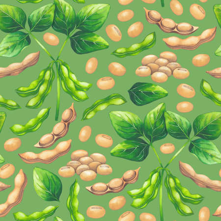 Watetcrolor seamless pattern of soy beans and leaves.の写真素材