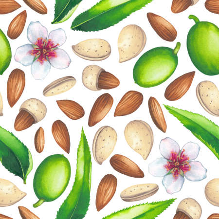 Watercolor seamless pattern of almond nuts, fruits leaves and flowersの写真素材