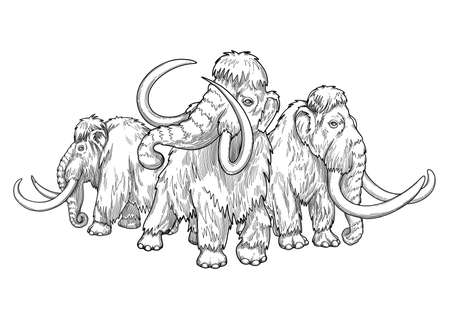 Composition of a three graphic walking mammoths in a front and side views.のイラスト素材