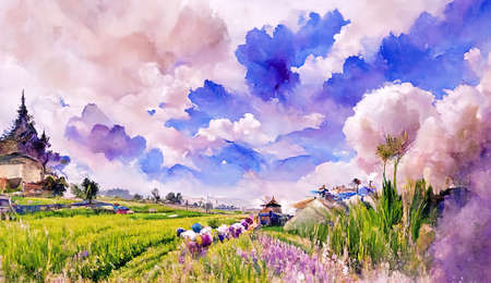 View of abstract landscape of lavender fields with some houses on background and fluffy fantasy cloudsの素材