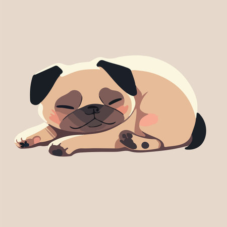 Cute pug having a nap, snugly curled upisolated on a black backgroundのイラスト素材