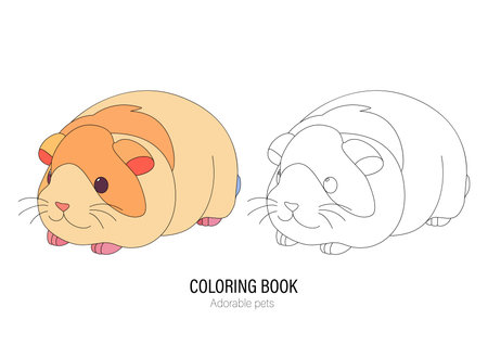 Cute little guinea pig with a kind smiling face and big eyes.のイラスト素材