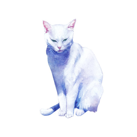 Pure-white cat sitting with a strict expression on its face.の写真素材