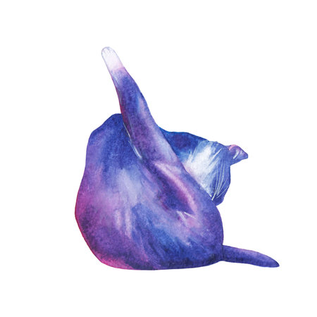 A dark blue-purple cat grooming itself with one lifted pawの写真素材