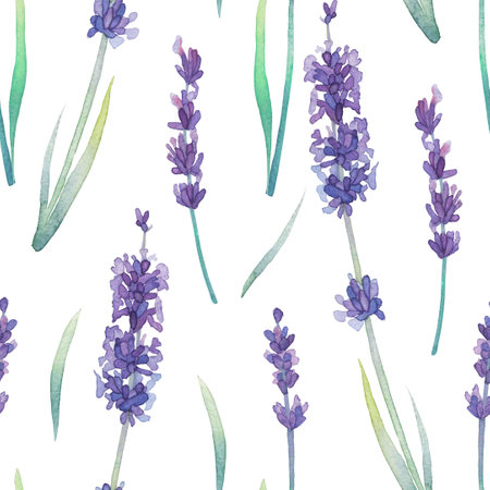 Seamless pattern of a watercolor lavender flowersの写真素材