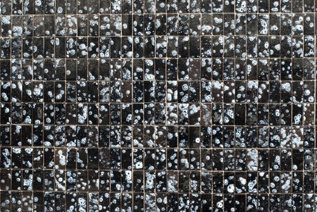 Detail of Portuguese glazed tiles.の写真素材