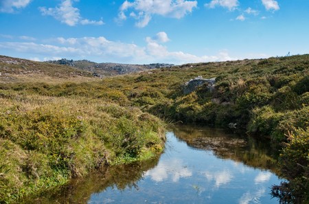 Summer landscape with river and blue sky.の写真素材