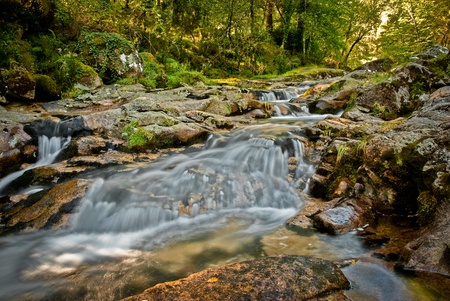 River stream in the portuguese national park of Geres, in the north of the country.の写真素材